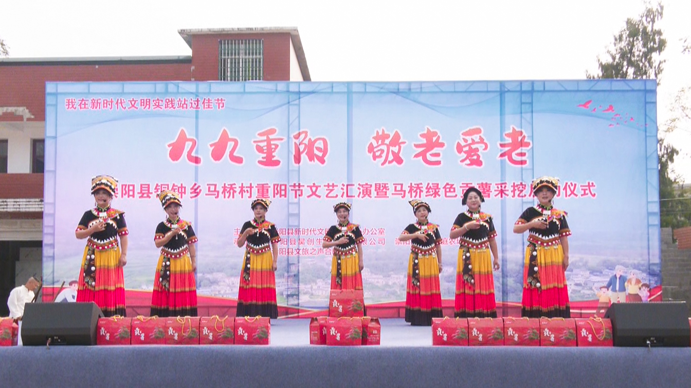 政務(wù)信息與文藝表演的和諧共生